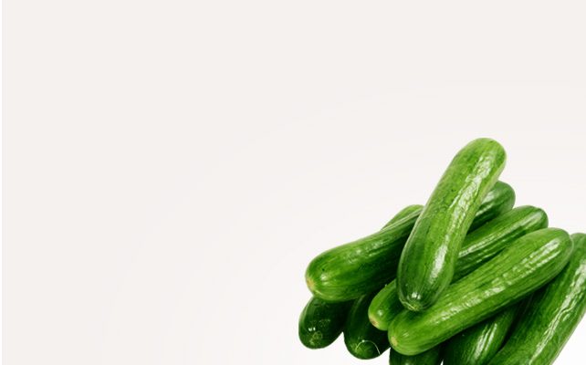 banner11