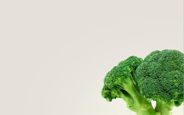 banner12