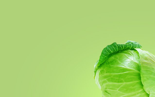 banner13